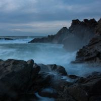 Photo : Fantome matinaux