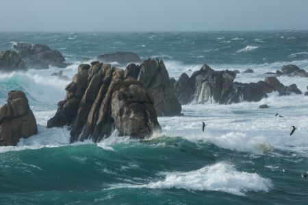 Photo : Cote Sauvage