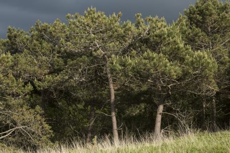 Photo : L'epreuve du vent