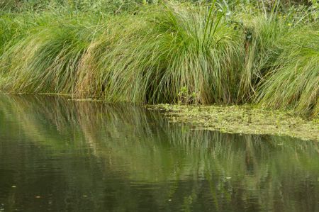 Photo : Bord d'Aigre