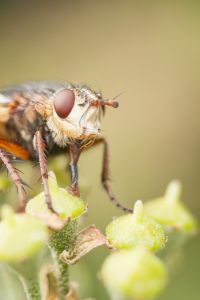 Photo : Quoi ma gueule...