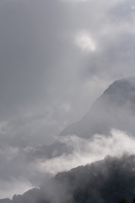 Brouillard matinal