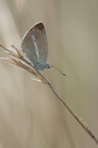 Photo : Argus
