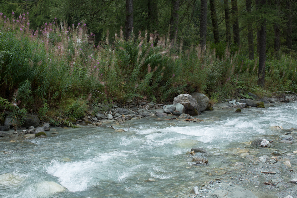Le Ponthurin