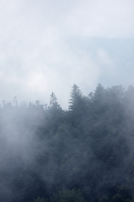 Brume vosgienne
